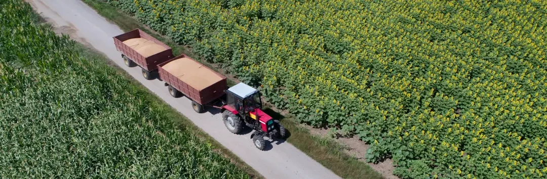 Agroexportación